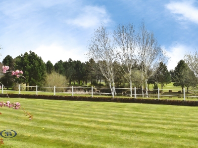 Picture 19